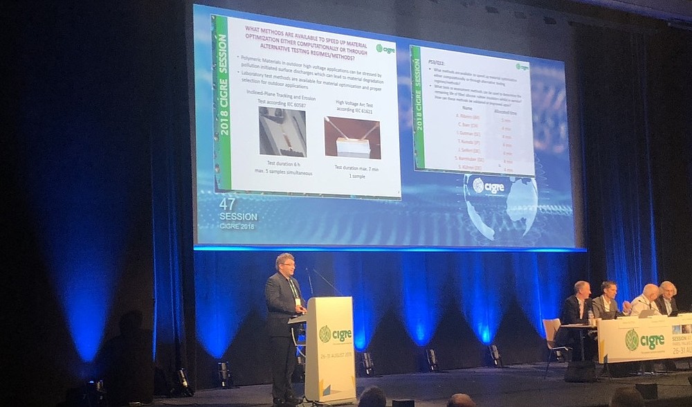 S. Kühnel bei der Präsentation seines Beitrages in der Diskussionssitzung des Study Committee D1.