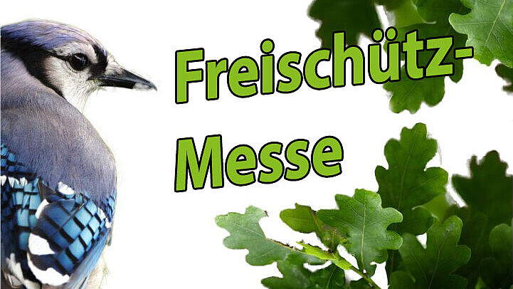 Auch in diesem Jahr gibt der Chor der HSZG wieder ein Sommerkonzert