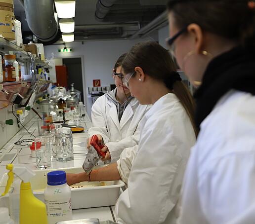 Eine Schülerin streckt den rechten Arm aus, während eine anderen ein mit Schutzkappe versehenes Sägeblatt über ihren Arm gleiten lässt.