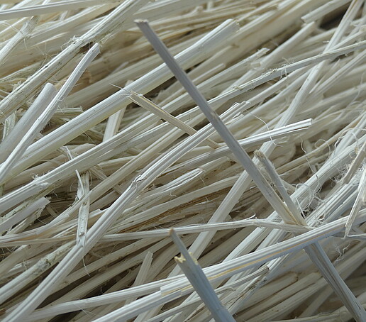 Aufbereitete Stängel