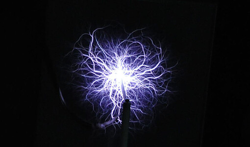 Mit viel Spannung kann man hier studieren.