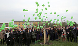 Wunschballons (Fotograf: Jens Freudenberg)