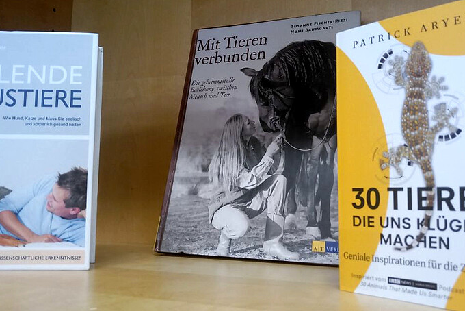 Drei Bücher im Regal