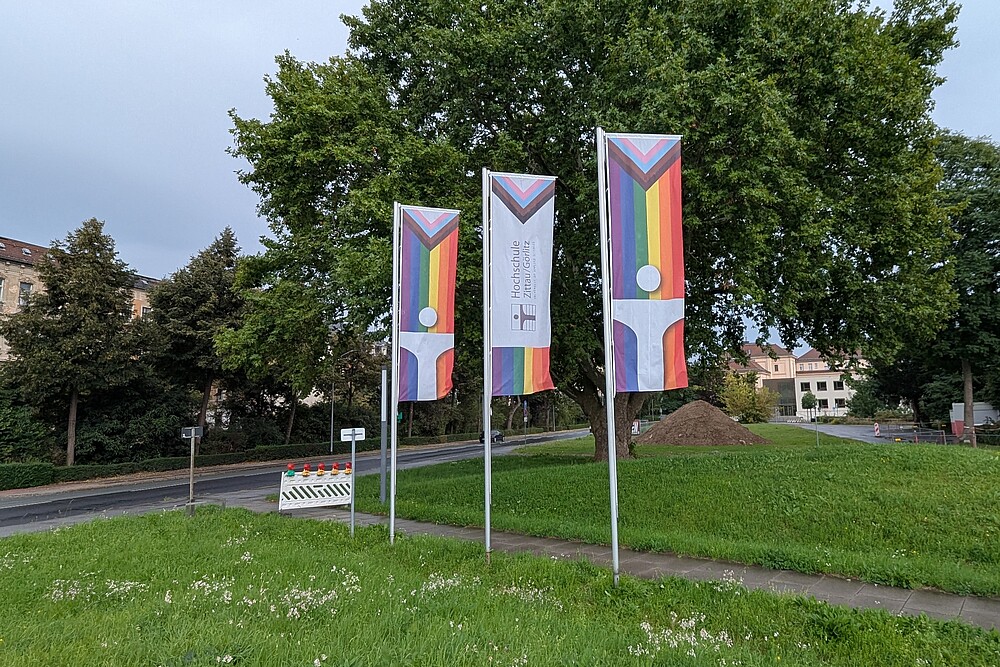Fahnen an drei Masten mit dem Logo der Hochschule Zittau/Görlitz in Regenbogenfarben im Stil der Progressive-Pride-Fahne am Innenstadtring von Zittau.