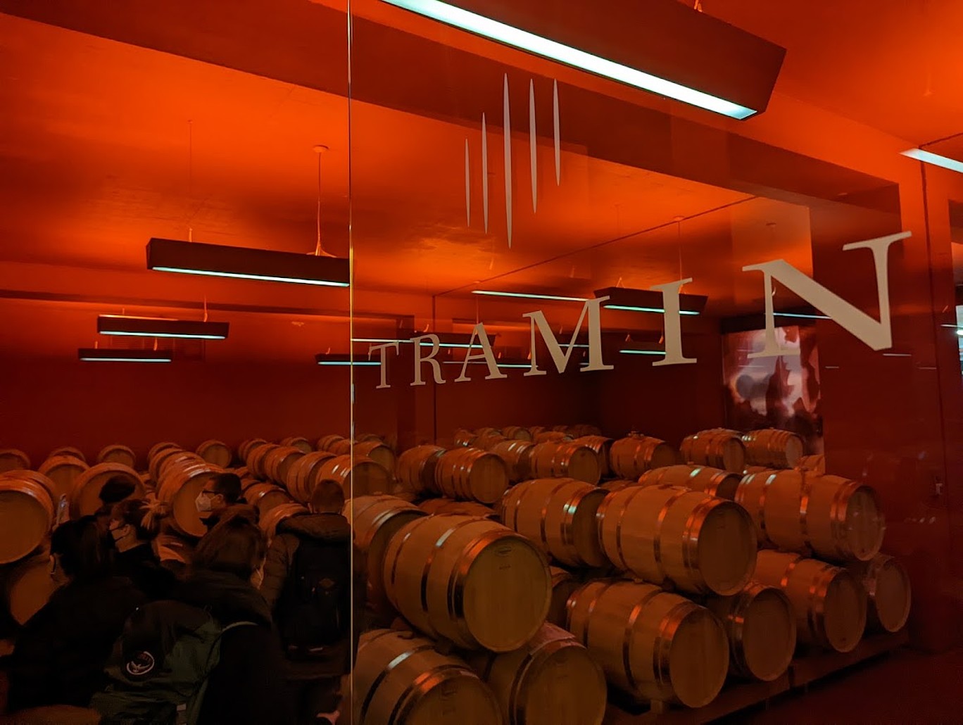 viele Weinfässer aufgestapelt