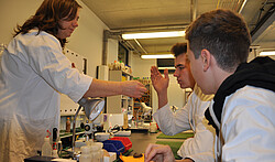 Geruchstest nach Brennbarkeitsüberprüfung