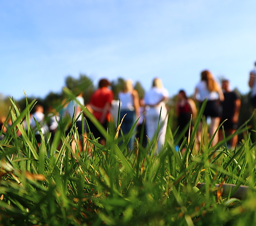 Studierende stehen in einer Reihe auf einer Wiese.