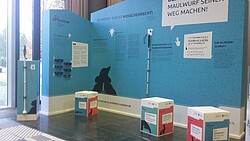Ausstellungsmodul 3