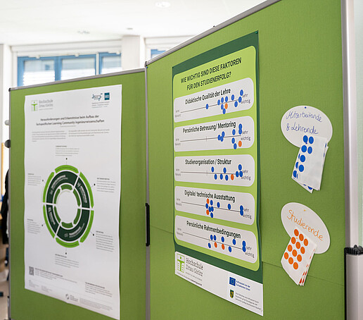 Umfrageposter hängen auf grünen Posterwänden.