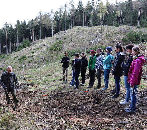 Die Studierenden stehen auf dem Waldboden auf der Lichtung und schauen einem Forstmitarbeiter zu. 