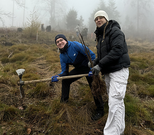Zwei Studierende pflanzen einen Baumsetzling.