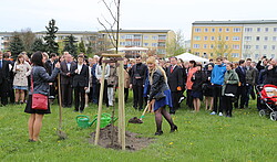 Baumtaufe (Fotograf: Jens Freudenberg)