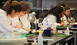 Ein genauer Blick auf die Probe ist bei der Gesteinsprobe unerlässlich.