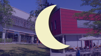 Mensa Zittau und Görlitz - Umfrage