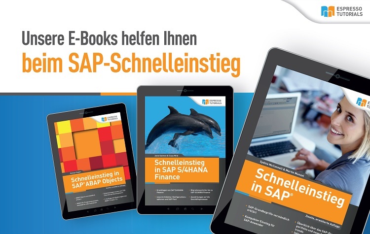 Abbildung E-Books für SAP-Einstieg